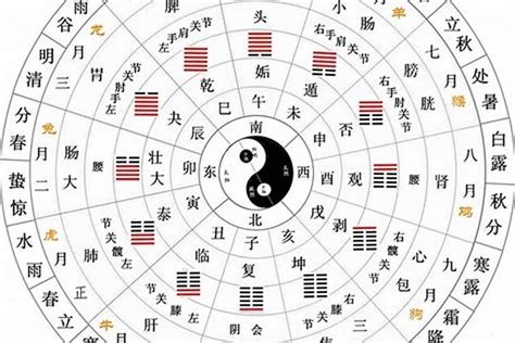 丑 方位|十二地支类象详解 – 十二地支阴阳五行属性